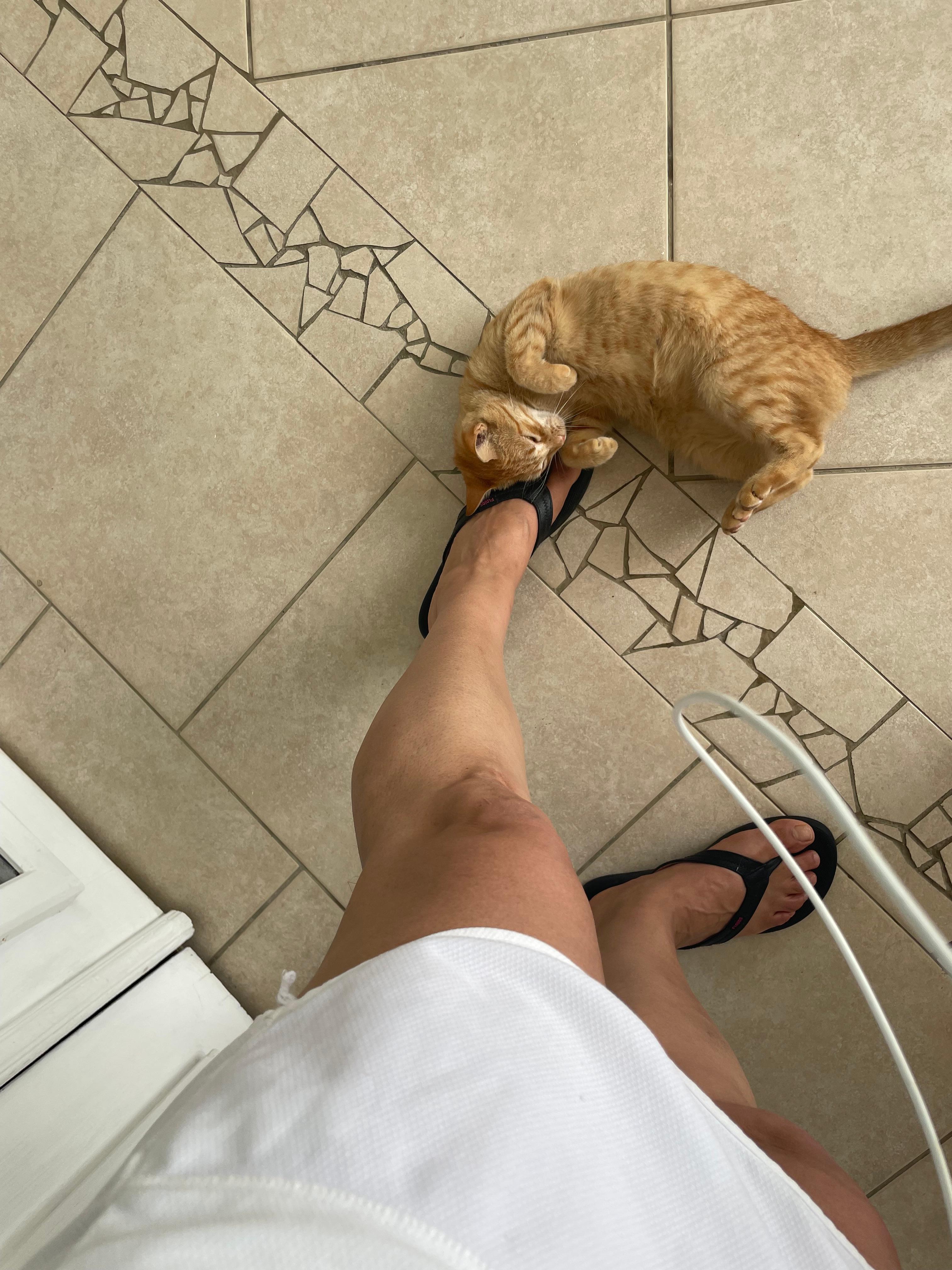 Maddie, came every morning for my coffee