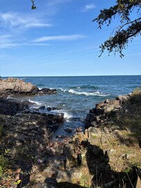 Shoreline at the end of the footpath at the end of 2nd St