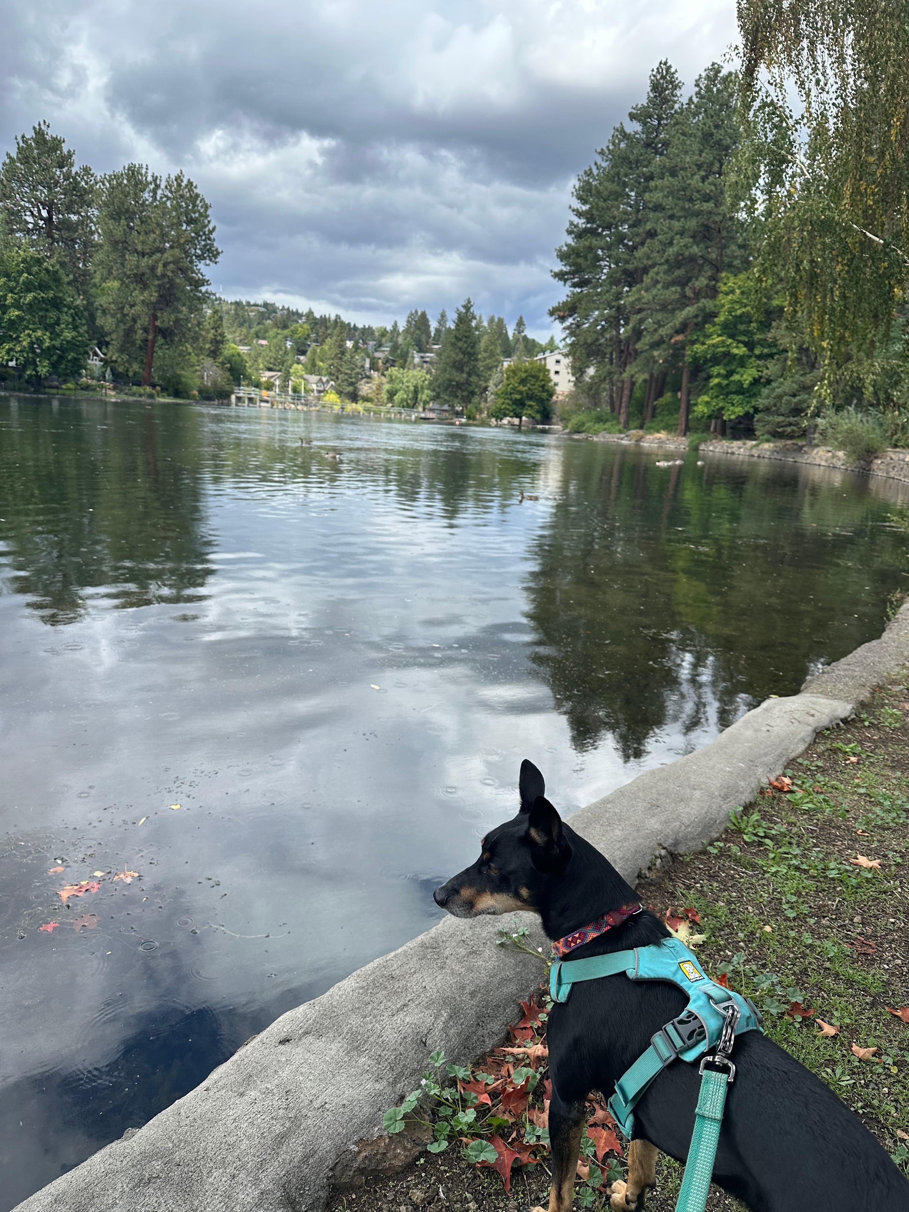 The park along the river within a five minute walk.