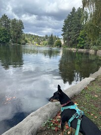 The park along the river within a five minute walk.