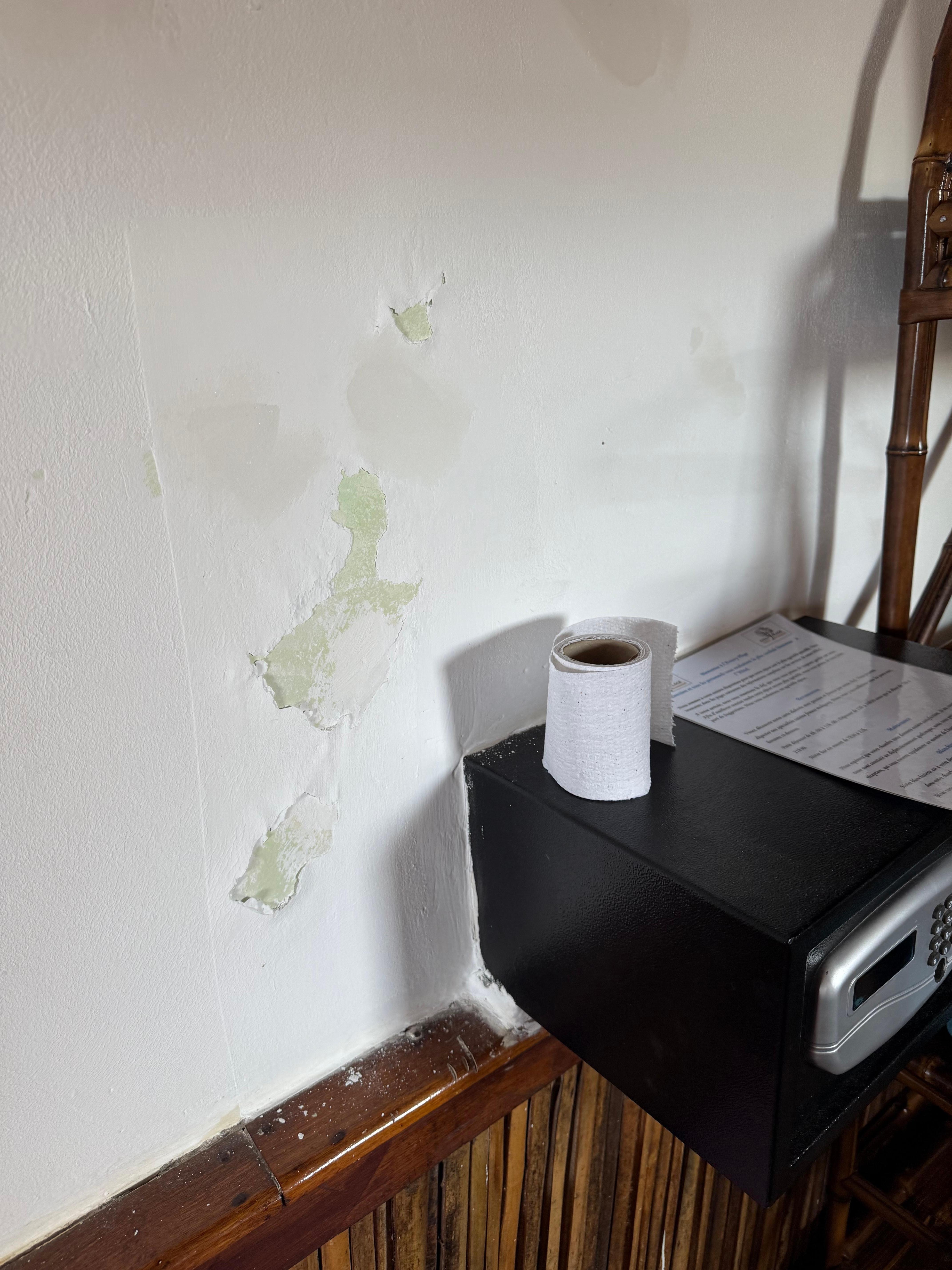 Mur de la chambre dégradé 