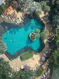 The pool - wow!