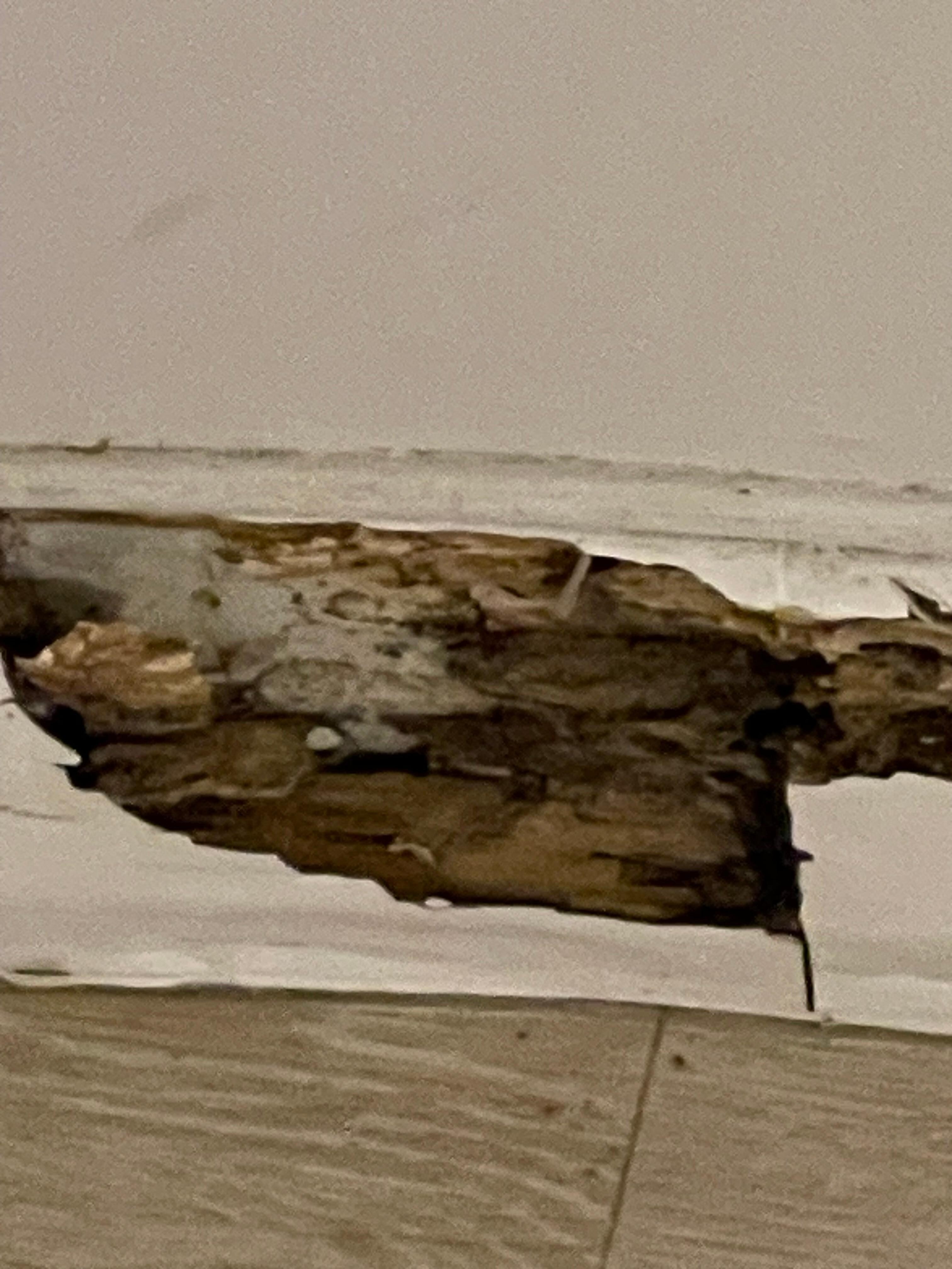 Fußleiste im Eingangsbereich