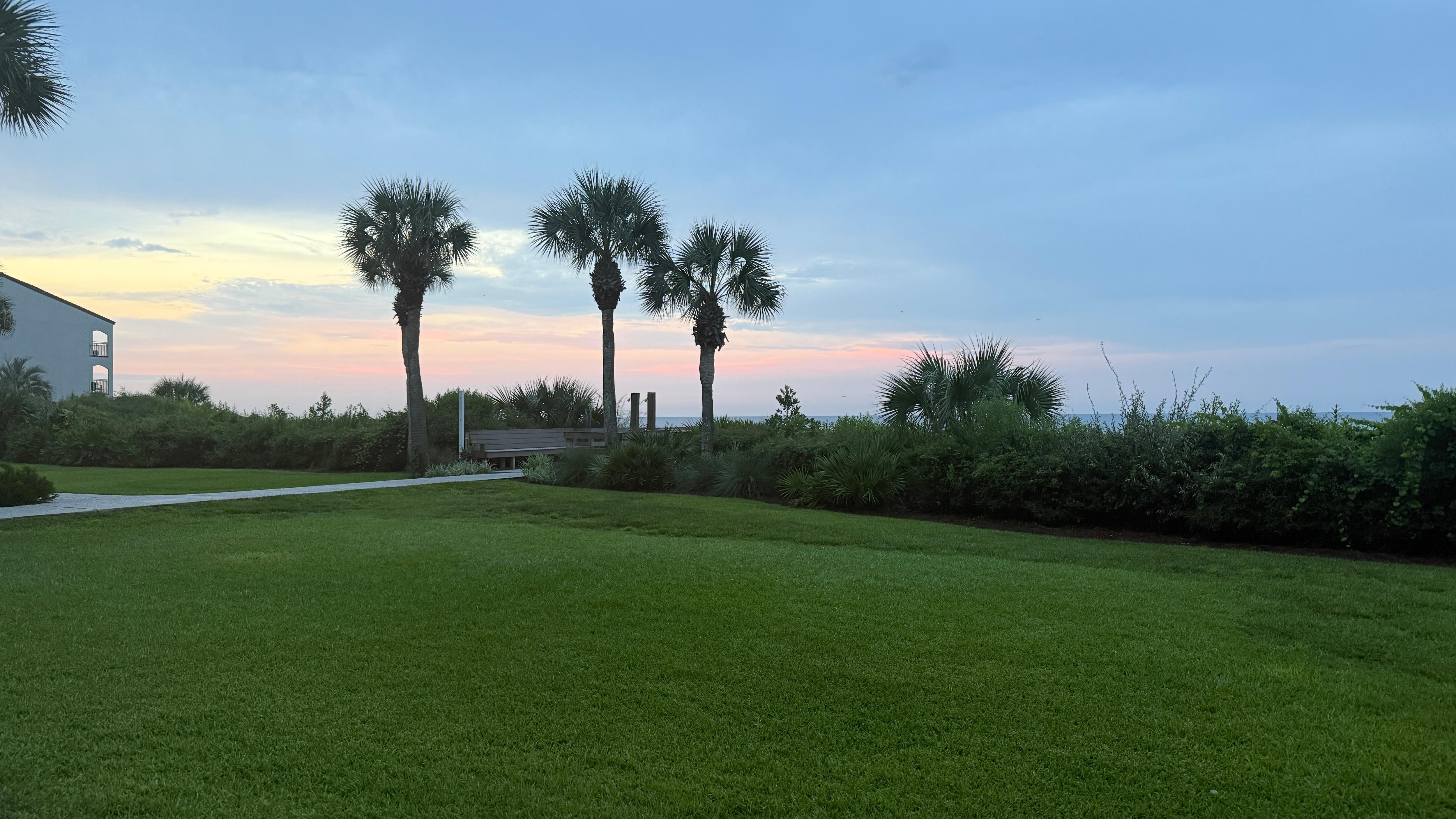 View from our patio.