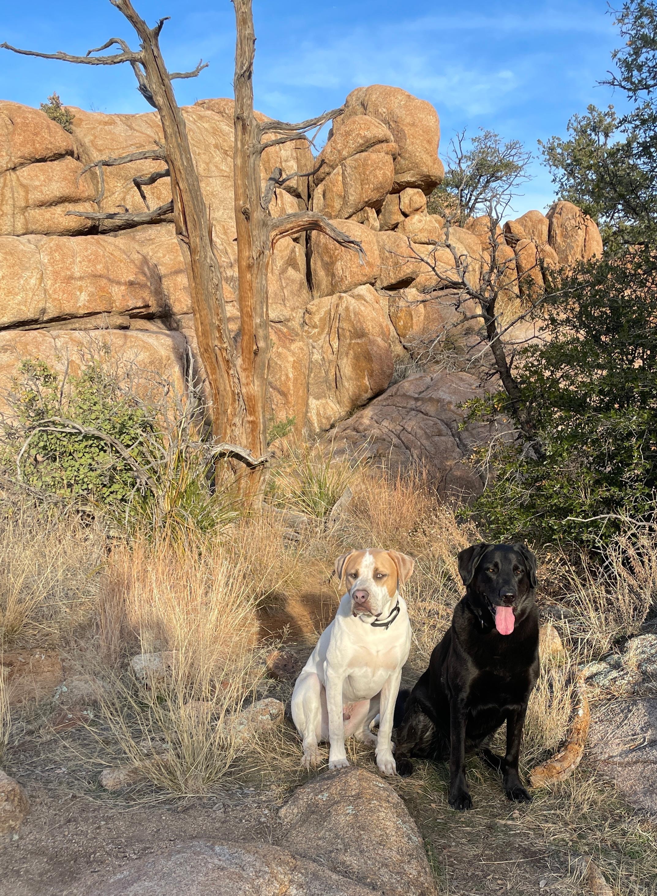 At Watson Lake, two minutes from the house. 