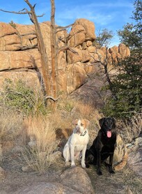 At Watson Lake, two minutes from the house.