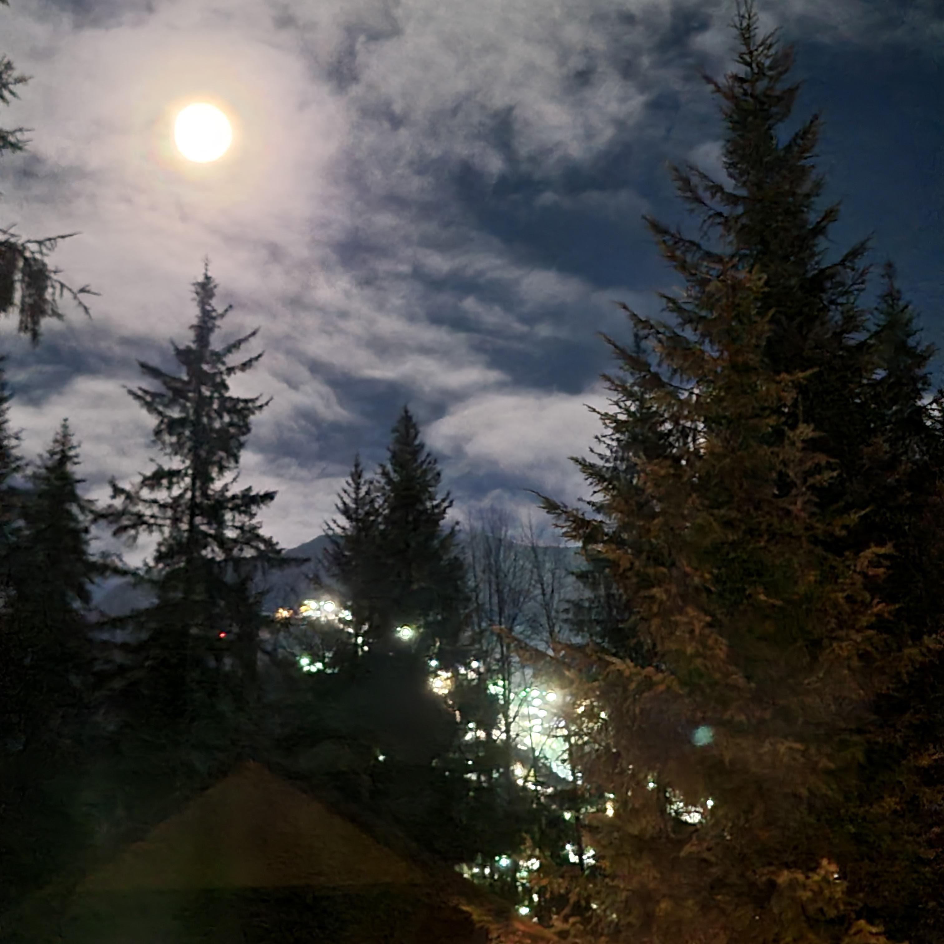 View from the kitchen. 