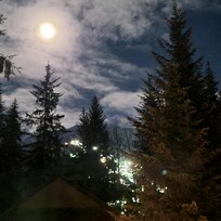 View from the kitchen.