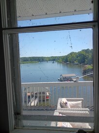 Windows covered in Spider webs