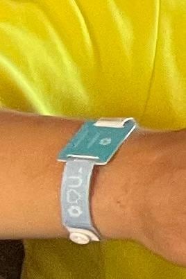 Brazalete recibido para clase/precio inferior (Oasis Palm) 