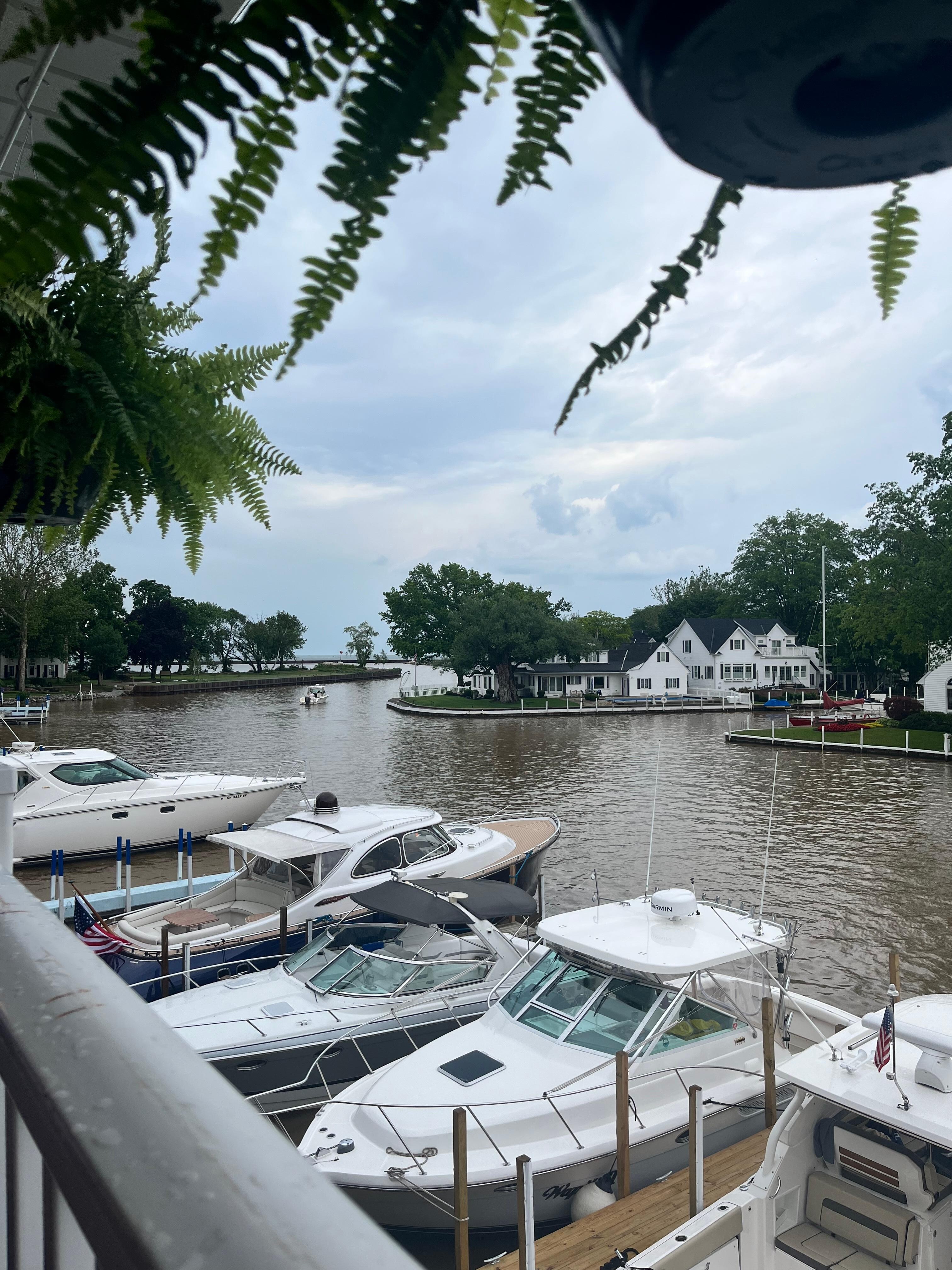 View from the restaurant