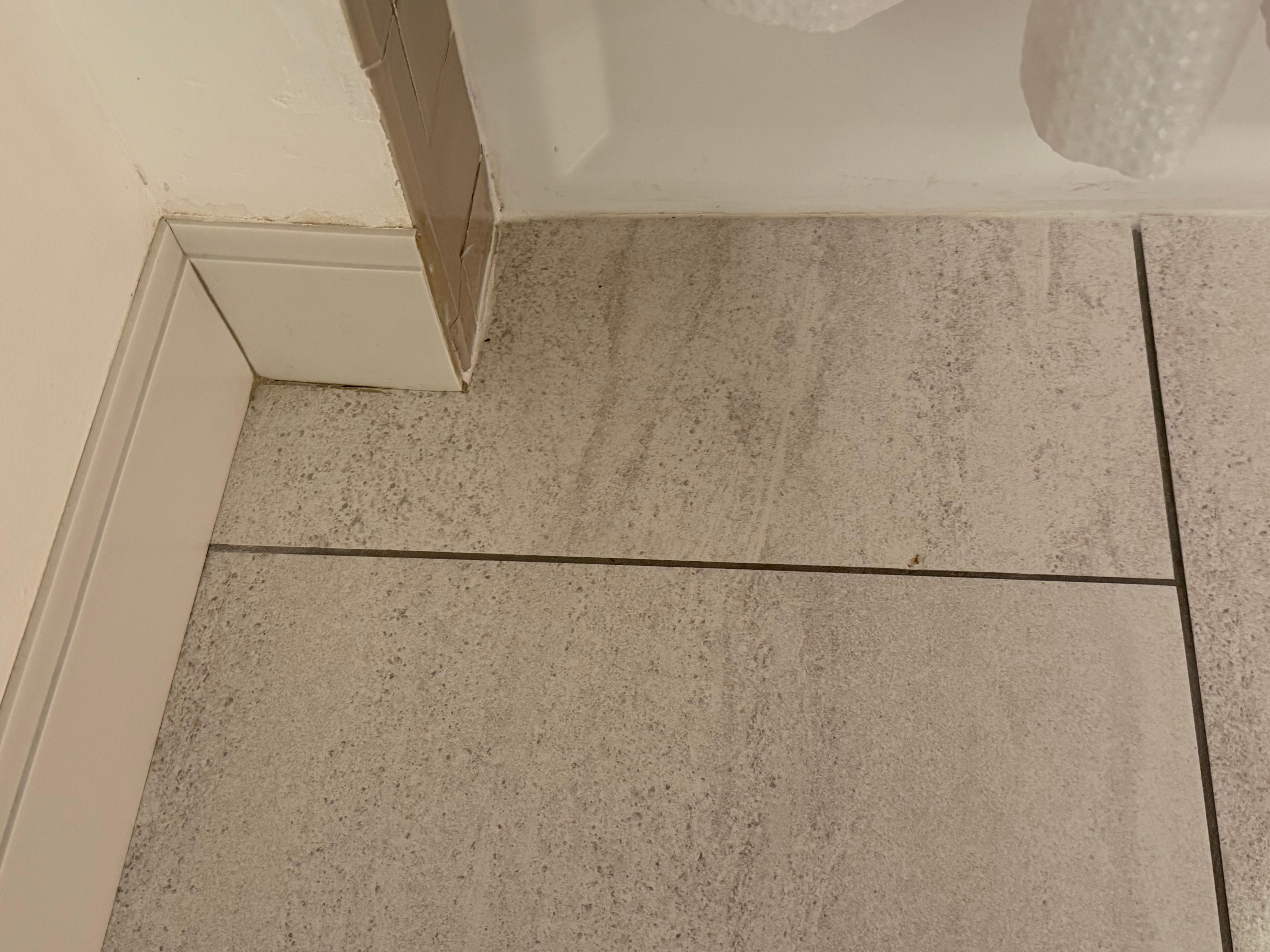 Mold on tile