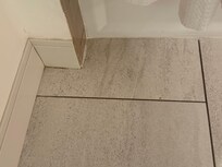 Mold on tile