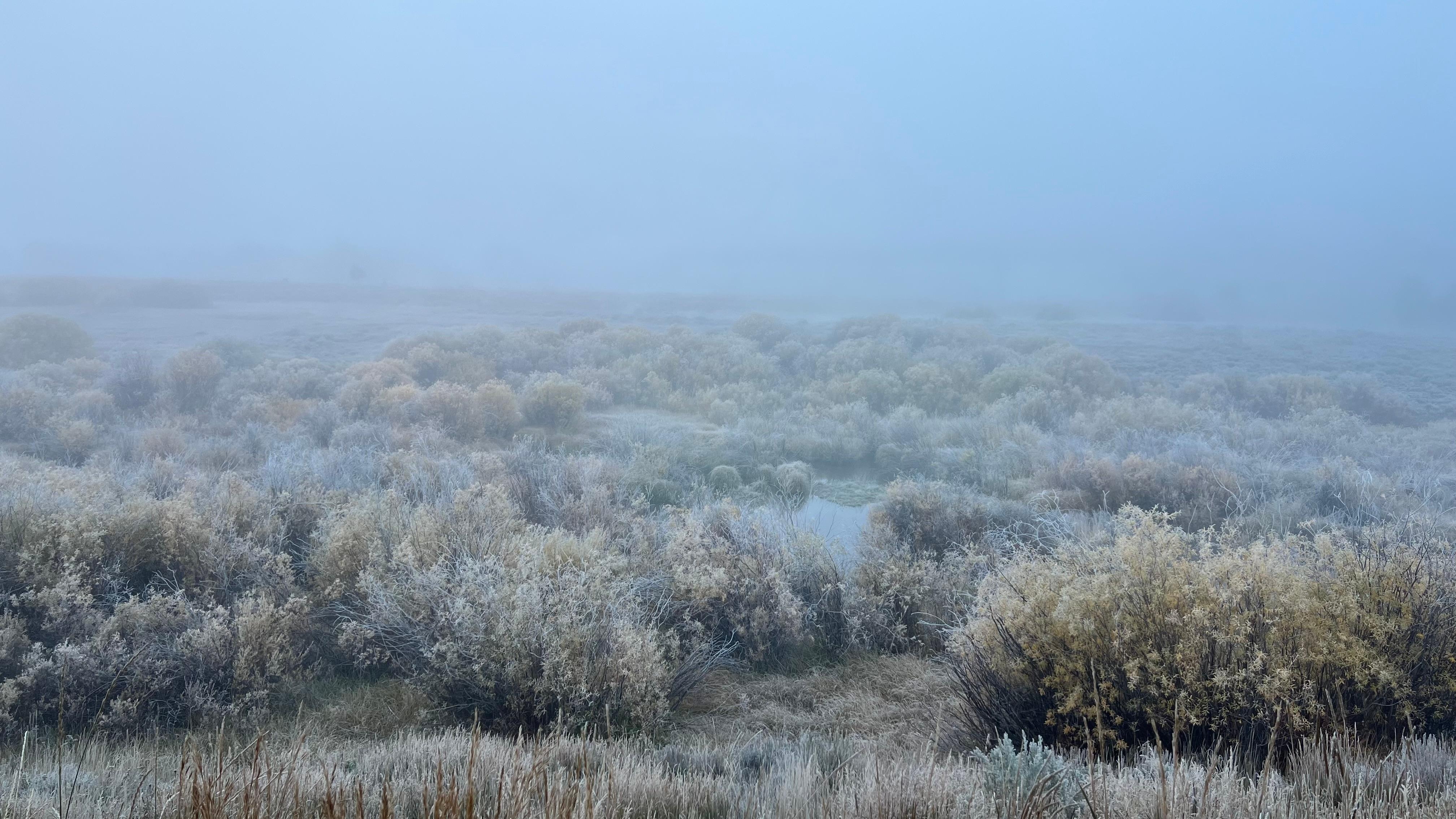 Even foggy it’s beautiful 