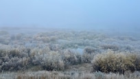Even foggy it’s beautiful