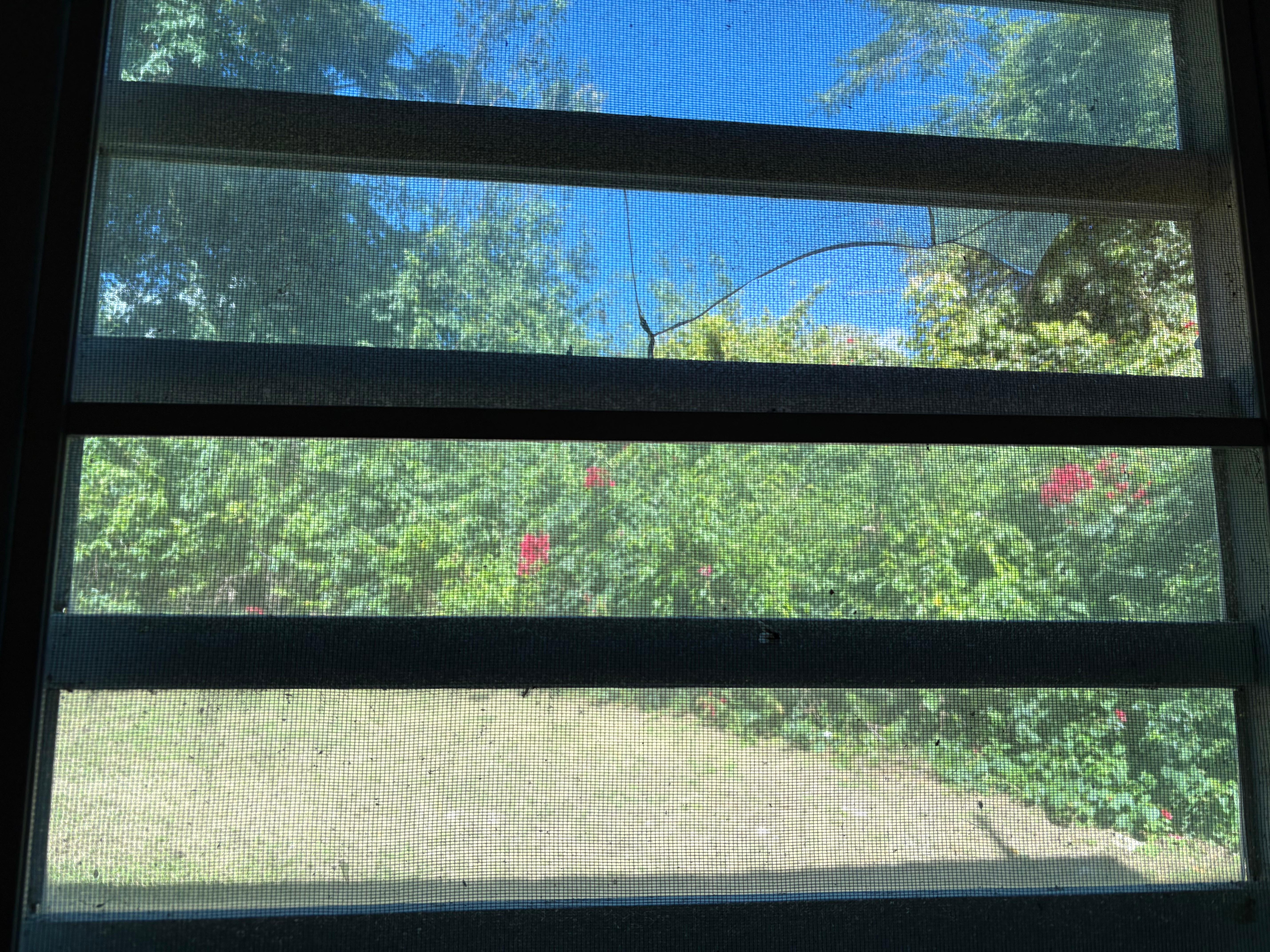 Broken glass window in laundry room