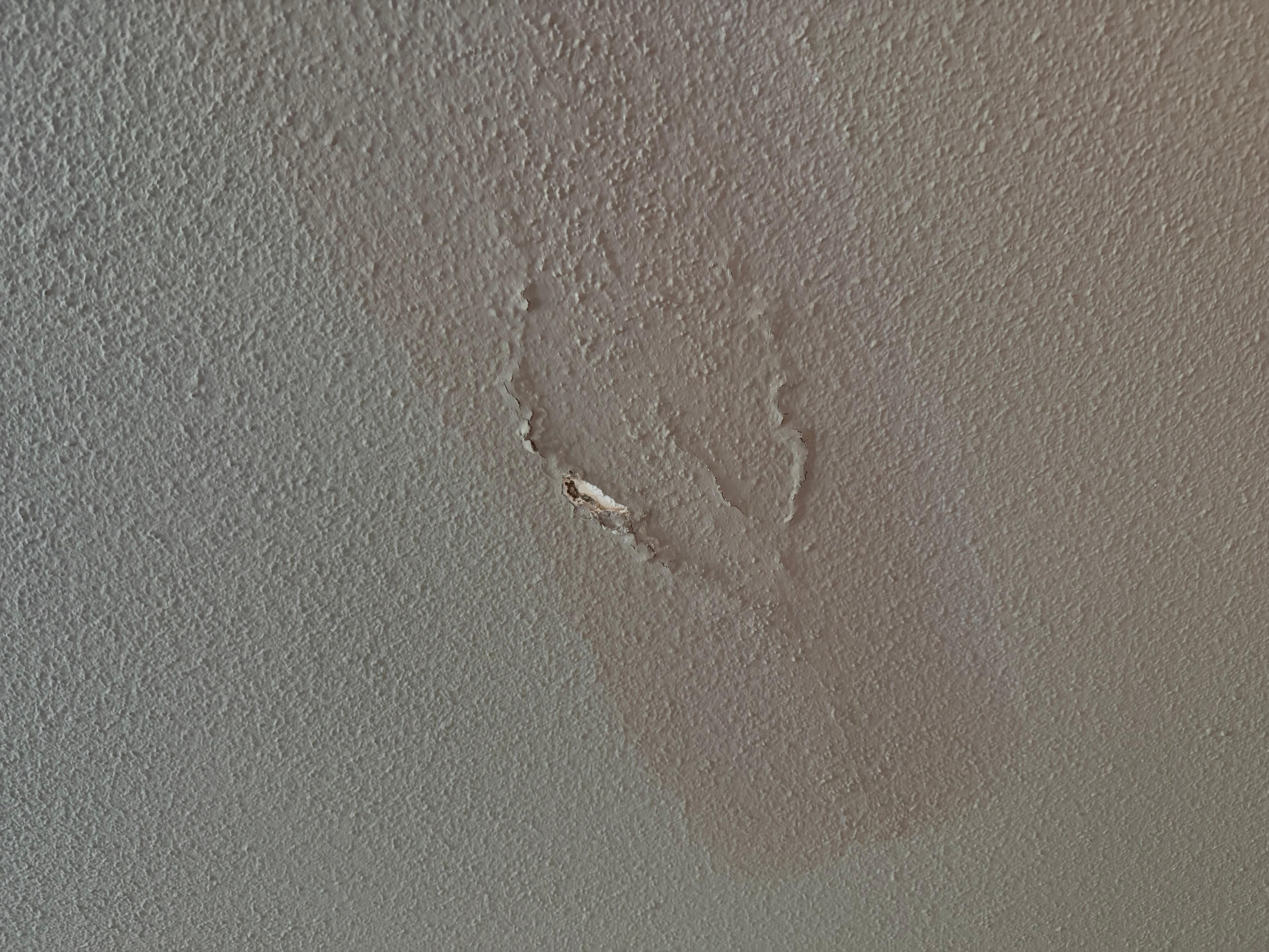 Moisissure au plafond 