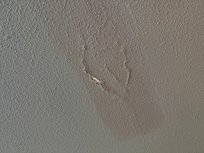 Moisissure au plafond