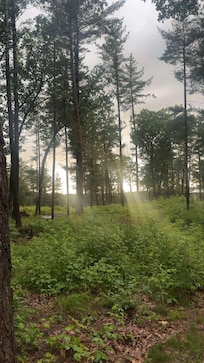 Standing on the back patio!