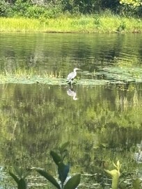 Grey Rock conservation area