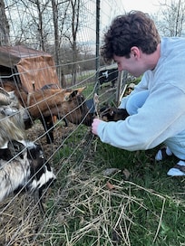 Goat pen - Fun to watch them.