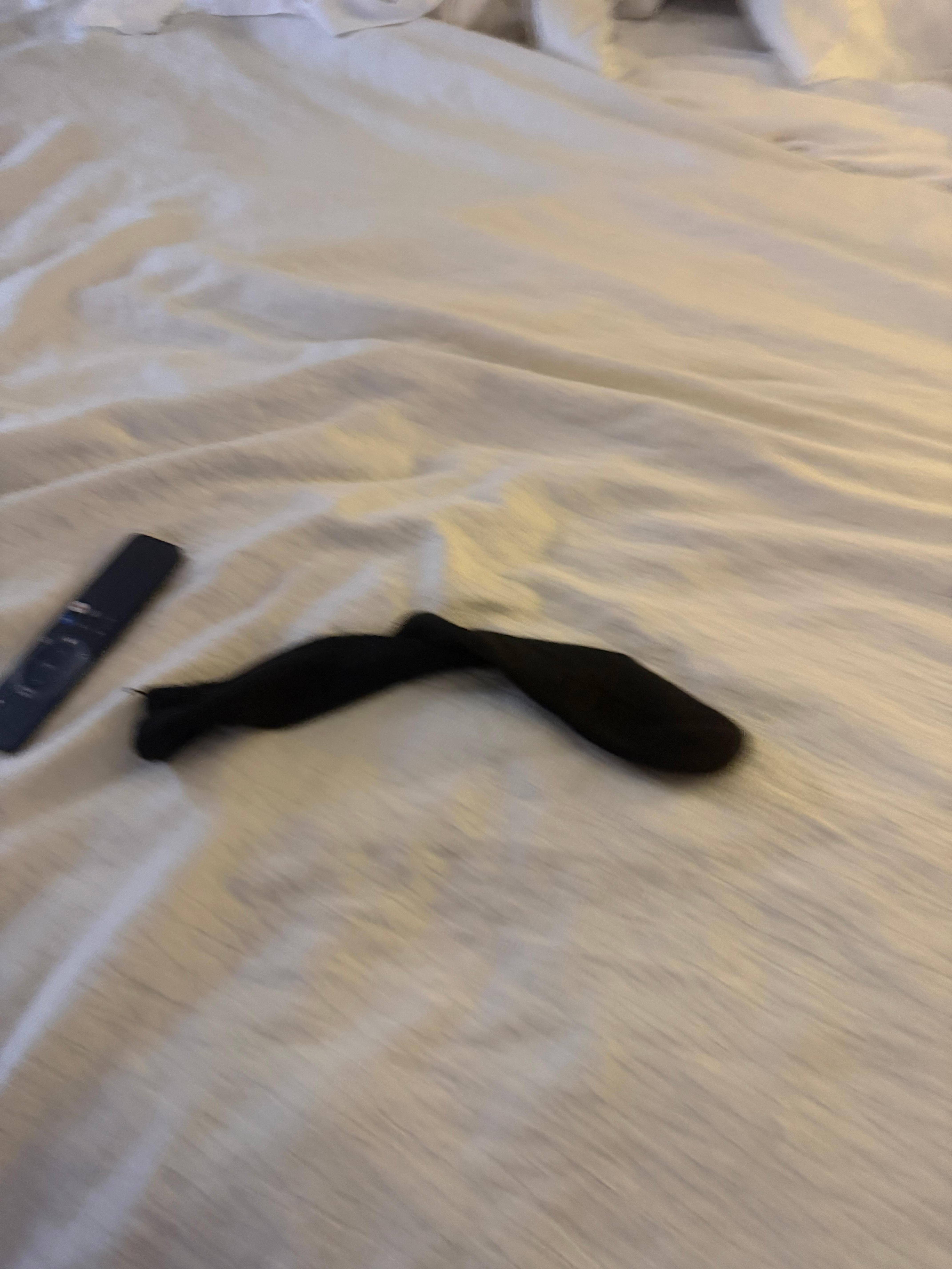 Sock found in the sheets 