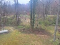 Property, as seen from the deck of the trout house. The creek is the property line.