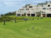 The condo is the second from the left on the ground floor