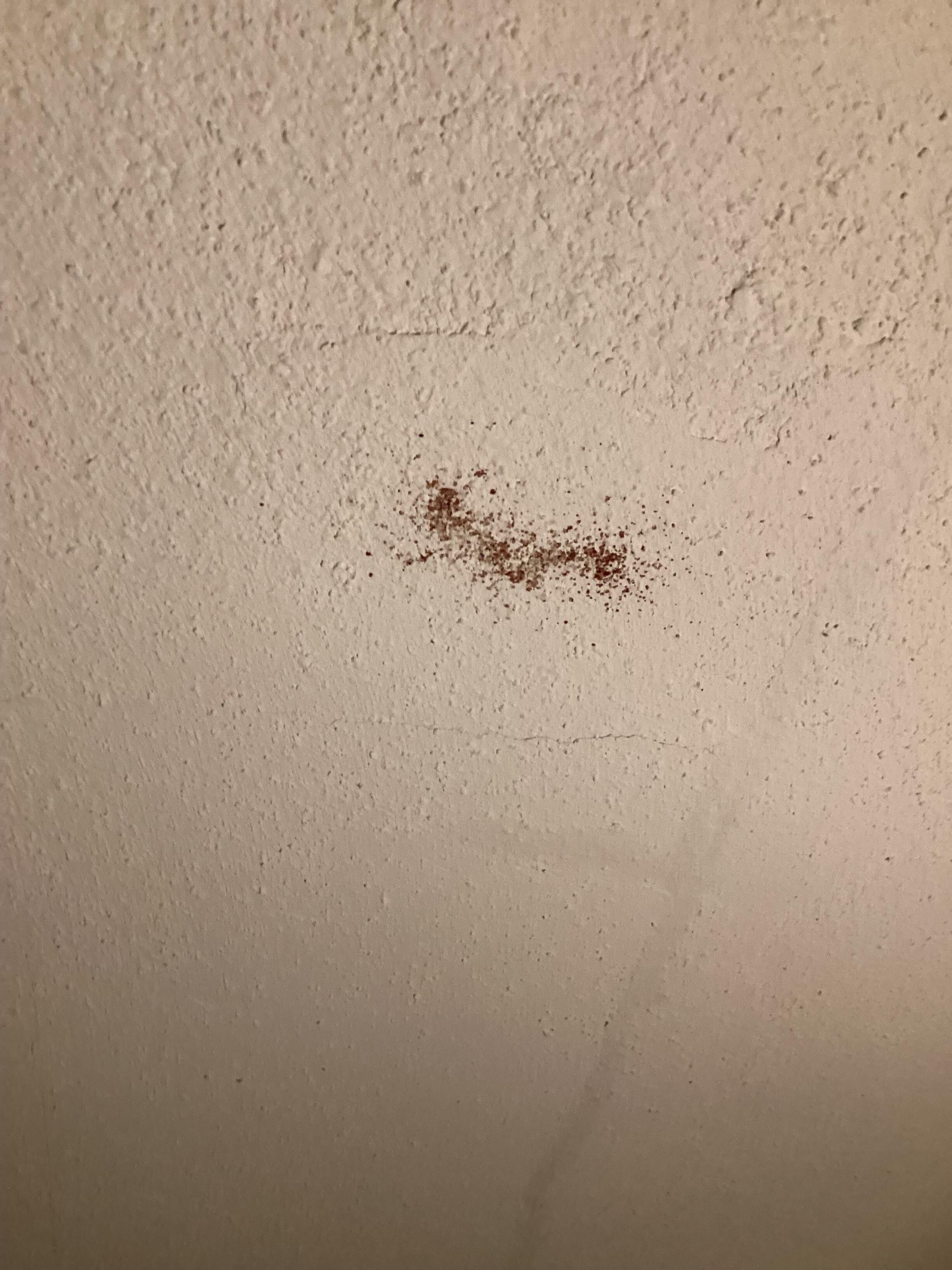 Ceiling