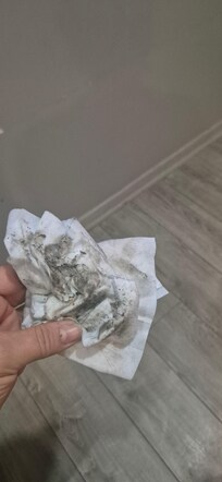 Das kam beim wischen vom Boden raus als ich einTropfen Ketchup vom Boden wischen wollte. Wahnsinn