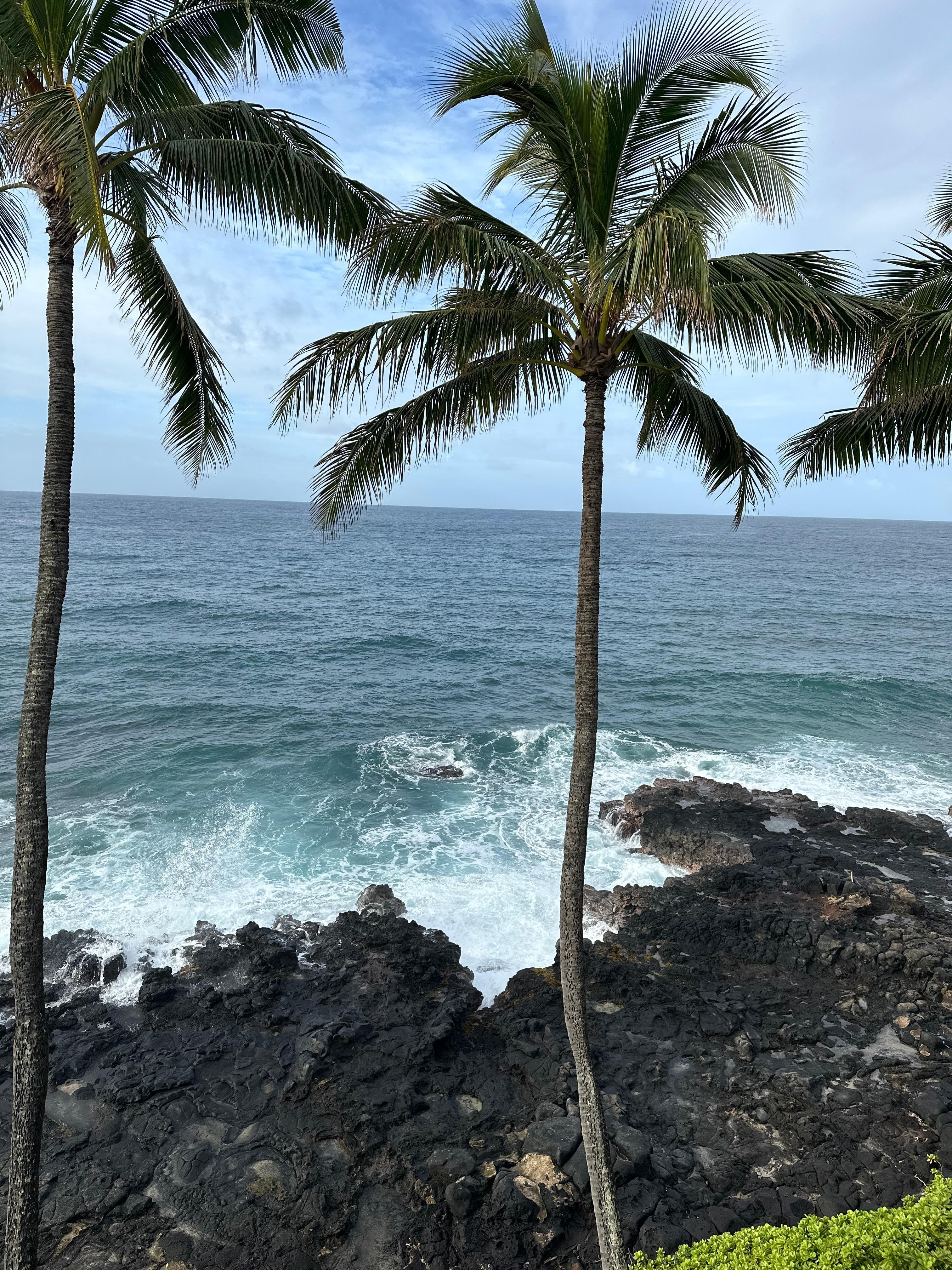 View from the grounds