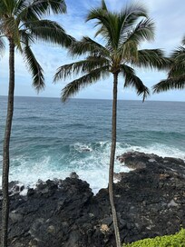 View from the grounds