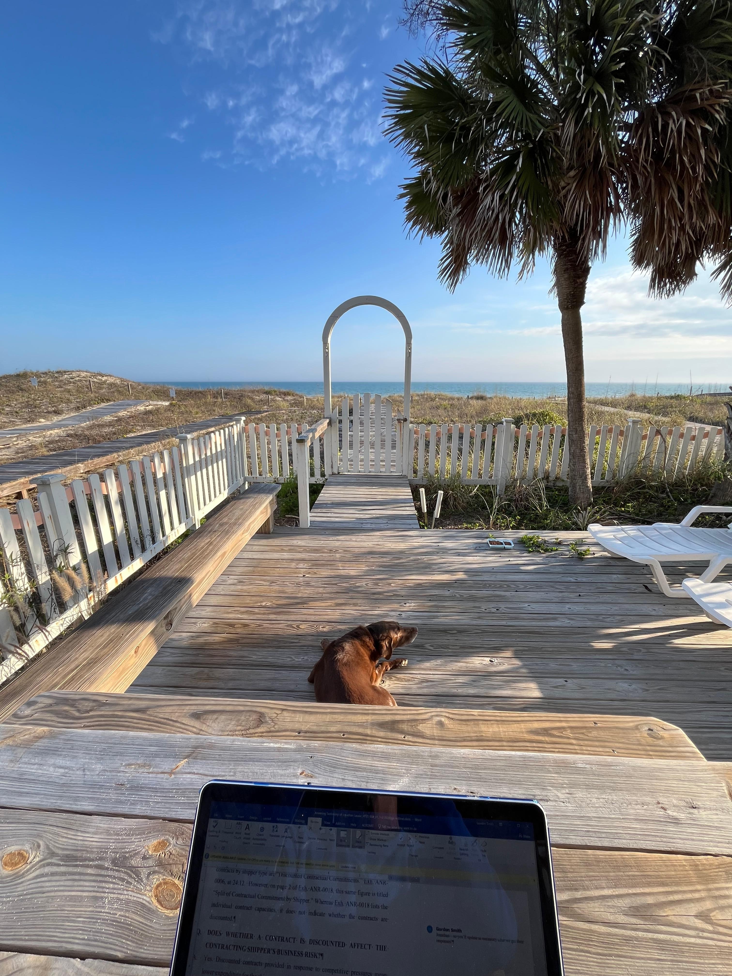 Outdoor “office”