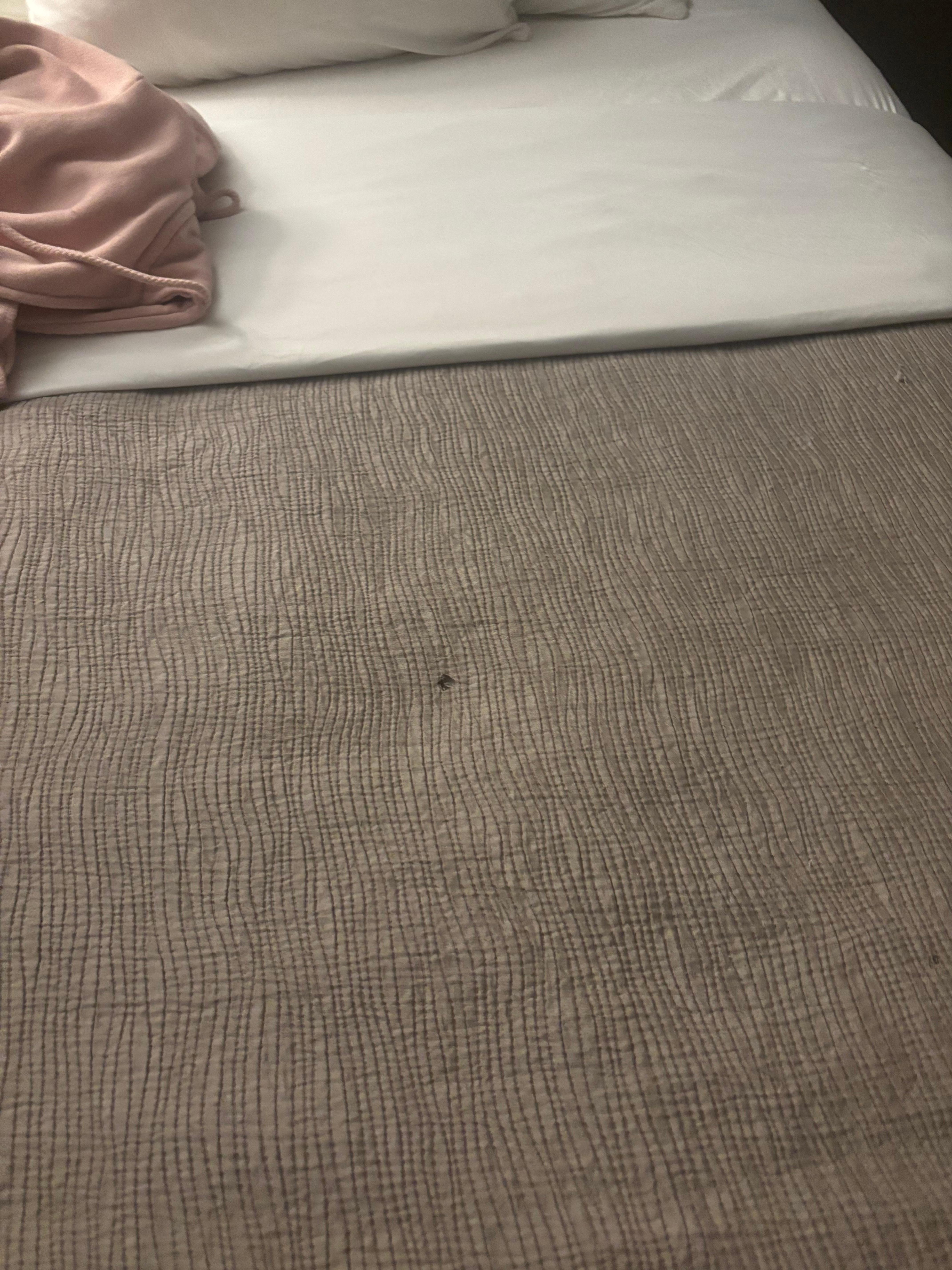 If you zoom in you can see cigarette burns.