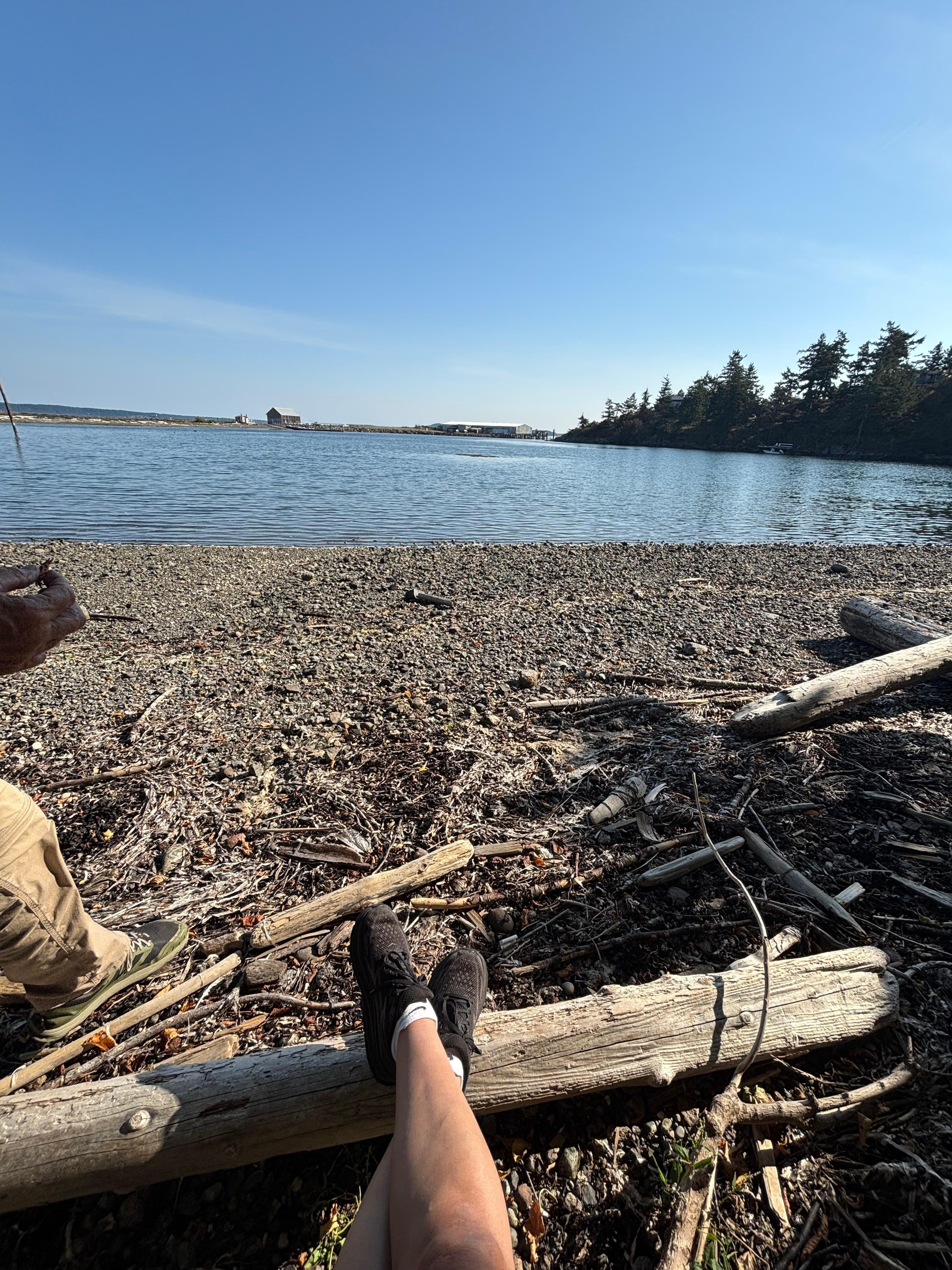 Private shoreline view