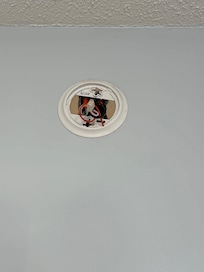 Missing smoke detector