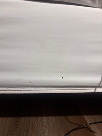 Several bed bugs on the side of the bed.