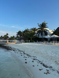 The beach was nice