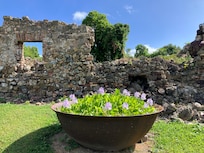 Sugar mill ruins