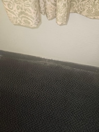 Stains on the wall and smelly carpet