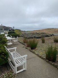 Backyard view