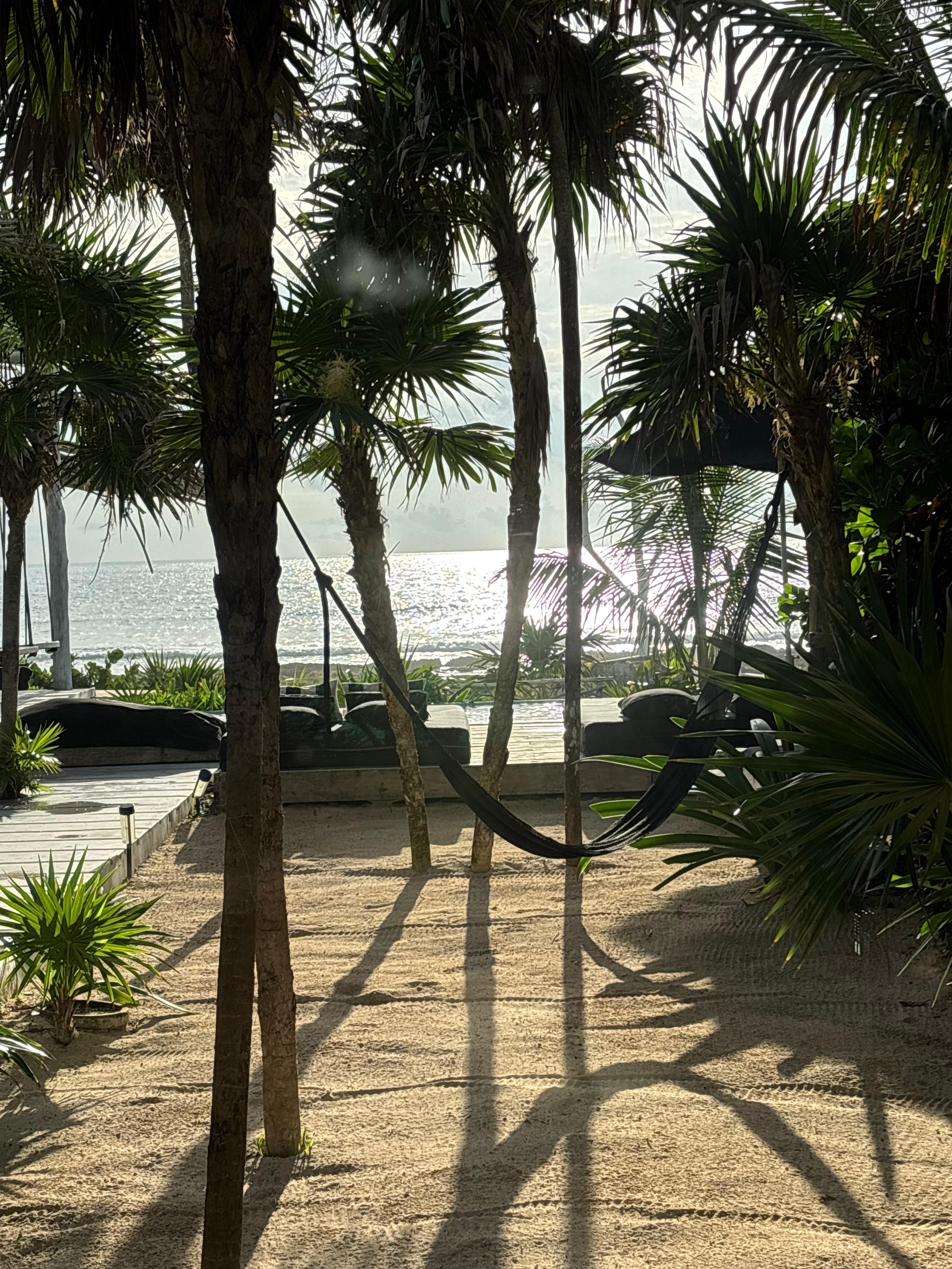 View of backyard from living area