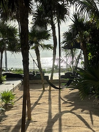 View of backyard from living area