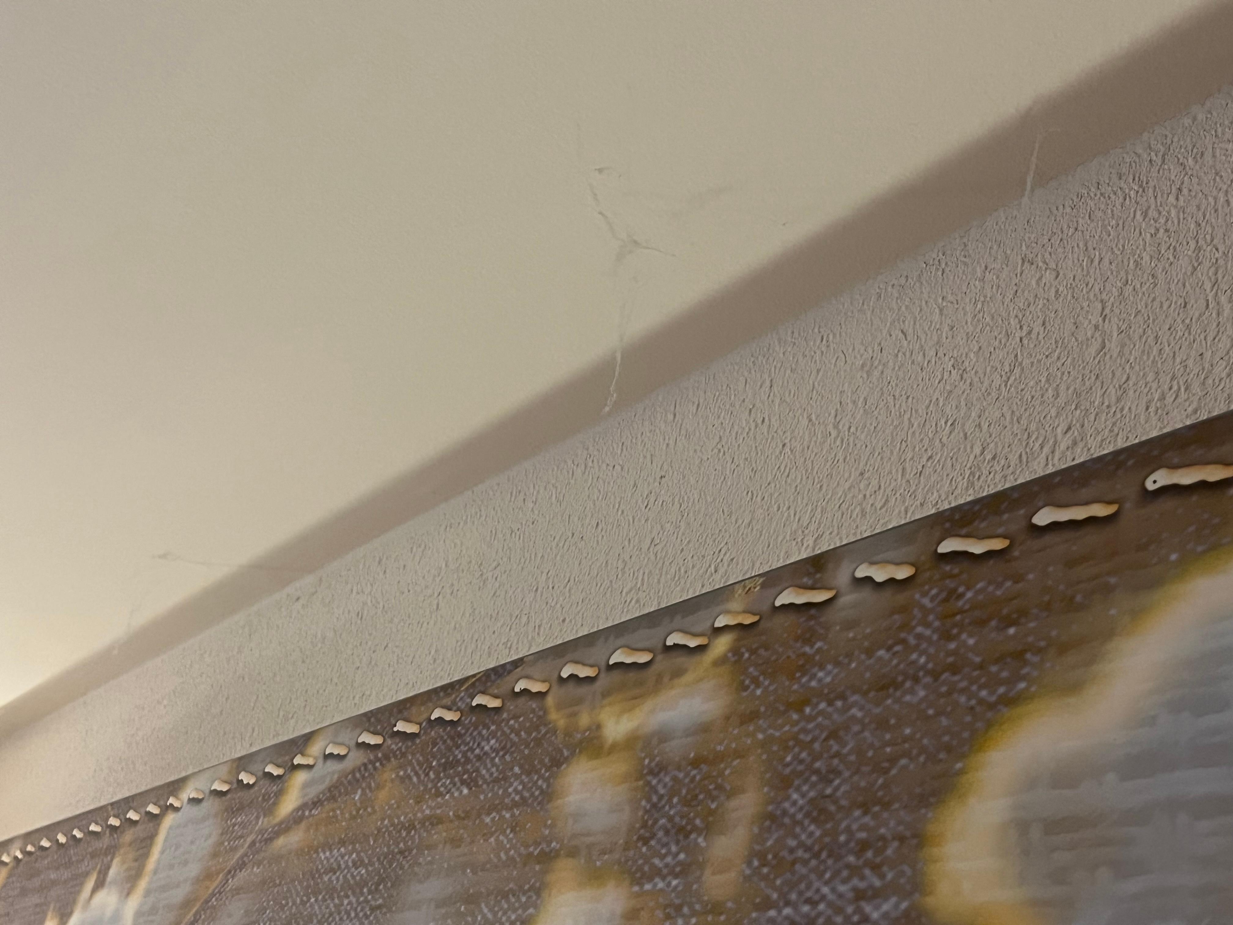 Spinnenweben über dem Bett