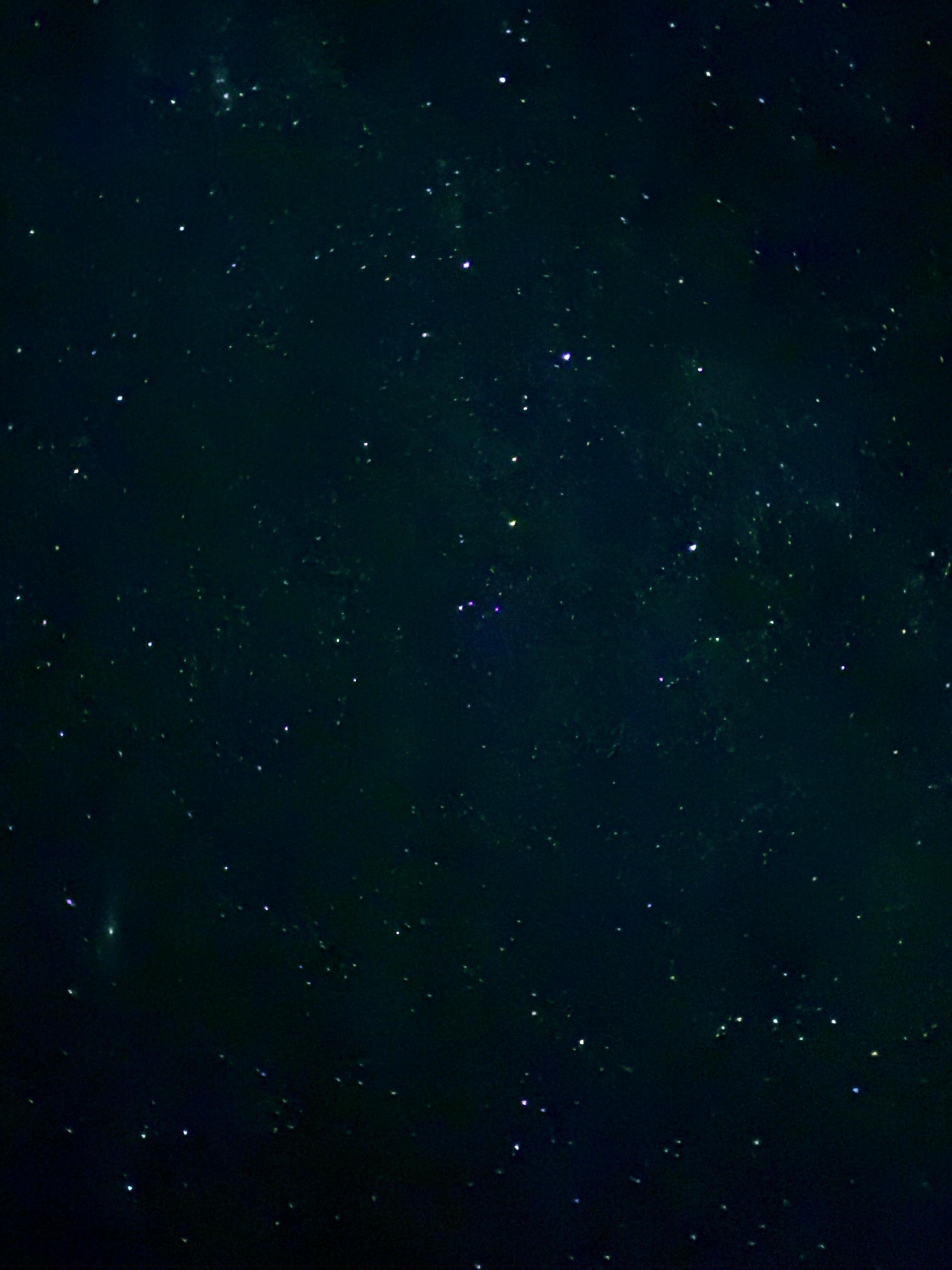 Stargazing from the backyard is absolutely incredible