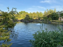 The Japanese inspired garden with coy pond adjacent to the hotel.