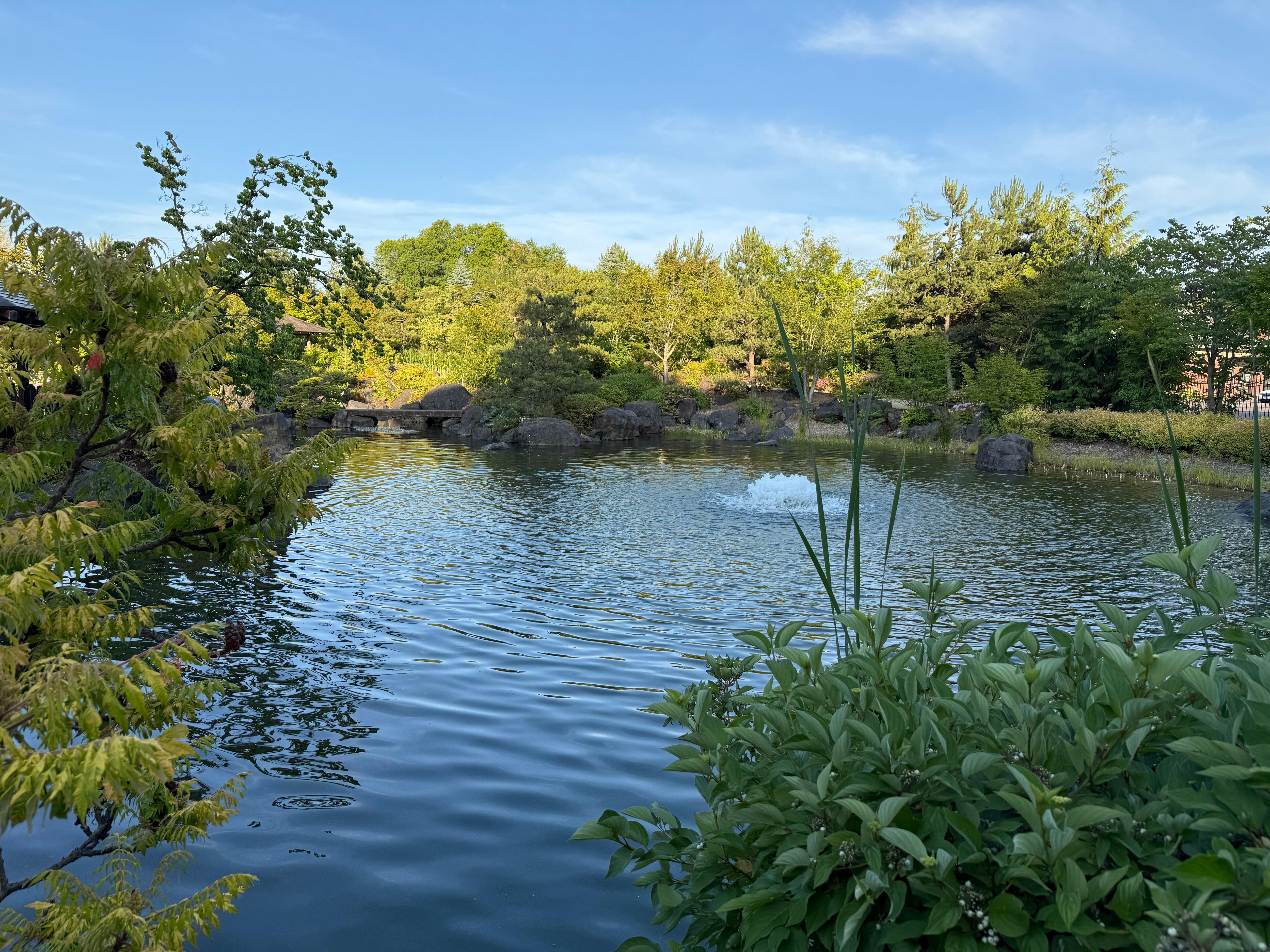 The Japanese inspired garden with coy pond adjacent to the hotel.