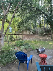 A hawk decided to visit the back fence.