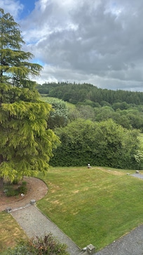The view