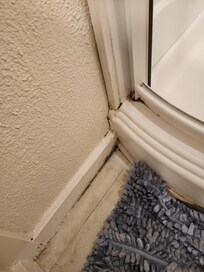 Shower
Black Mold